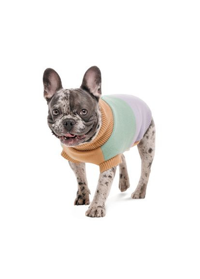 Свитер вязаный Rich для собак M3 Pet Fashion (333317067)