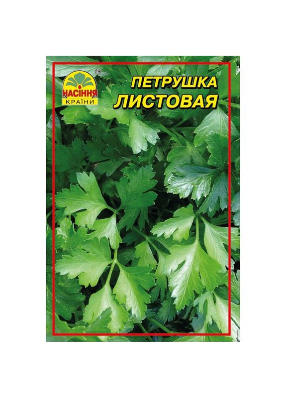 Насіння петрушки листкової 0,5 кг Насіння країни (299897644)