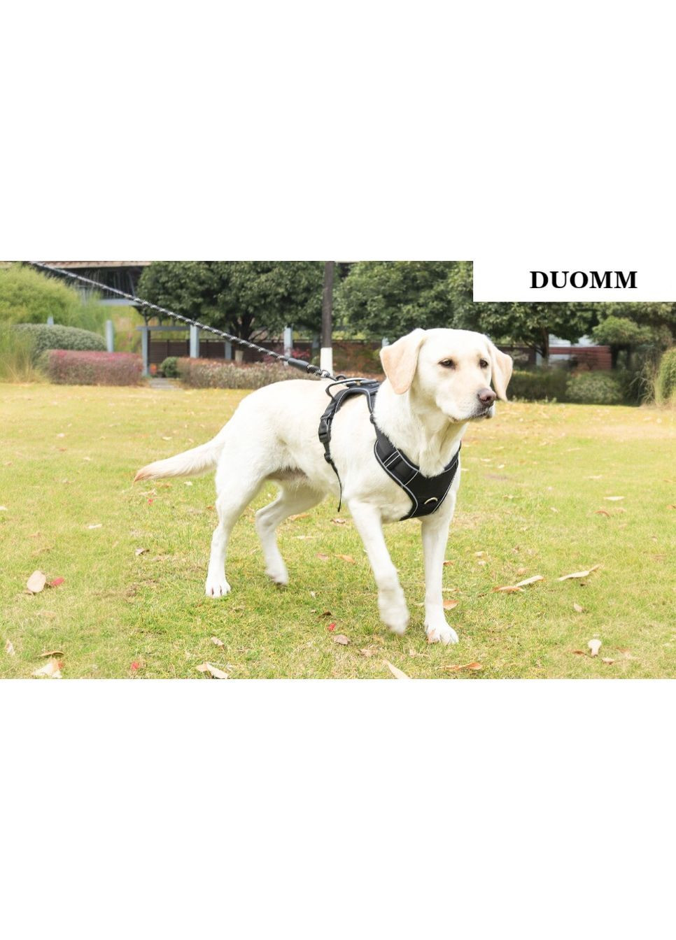 Шлея для собак Duomm Teg с держателем для GPS-трекера, светоотражающая регулируемая Черный, M No Brand (373444029)