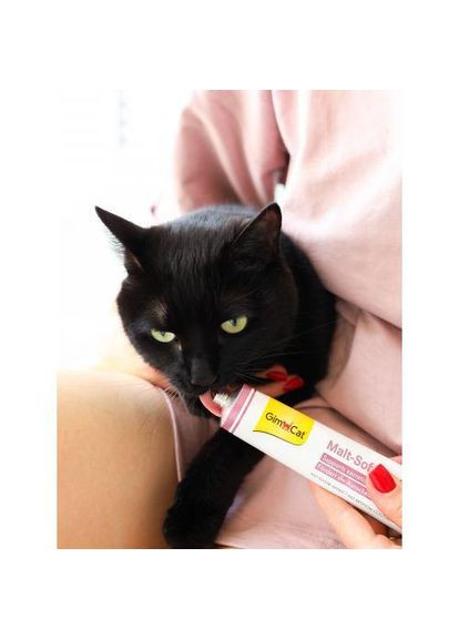 Паста Every Day Malt-Soft Paste Extra для кошек, выведение шерсти из желудка, 20 г (*) GimCat (322592142)