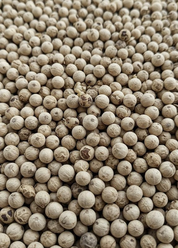 Перець білий горошком 100г (22-0232) Кукумбер (329425671)