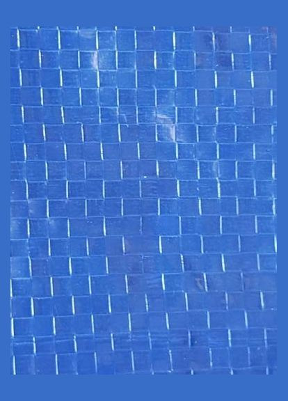 Тент пляжний 1038 Coleman (297567684)