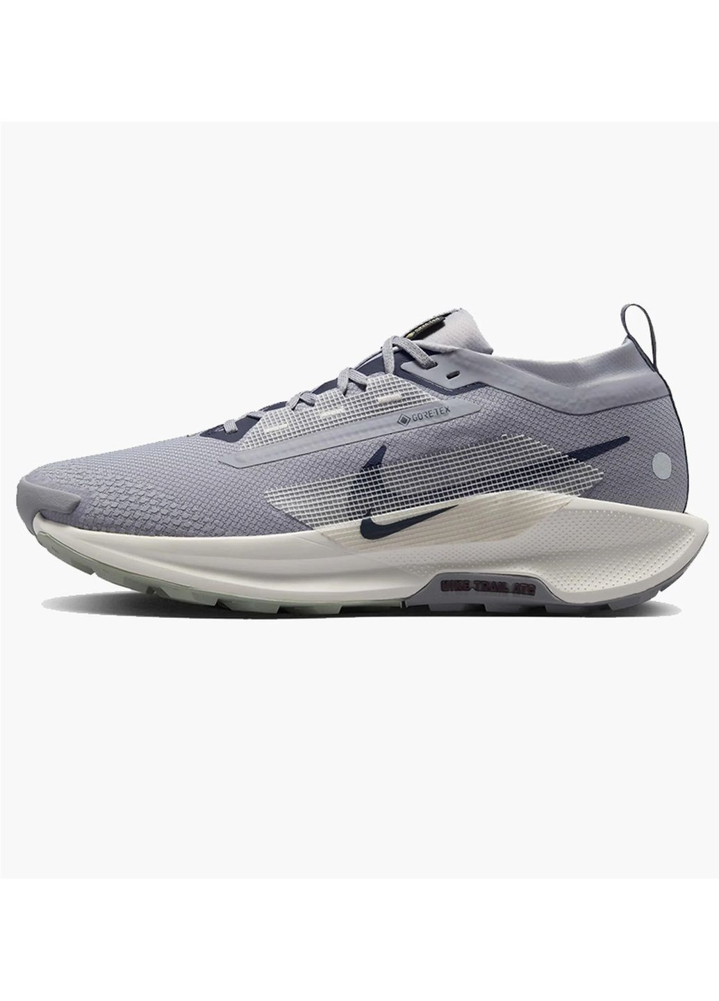 Сірі кросівки чоловічі pegasus trail 5 gtx grey fq0908-006 Nike