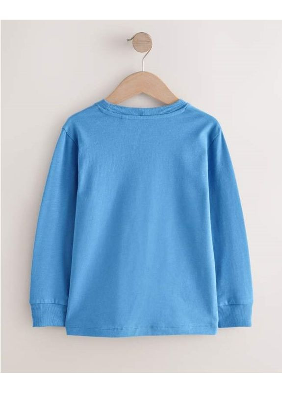 Разноцветный демисезонный лонгслив Next Trend