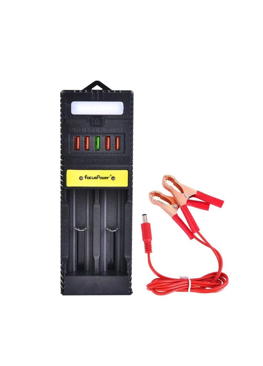 Зарядное устройство 5xUSB 2.0, Battery Charger ZSB12, фонарик, с крокодилами питание 12В Voltronic (392697436)