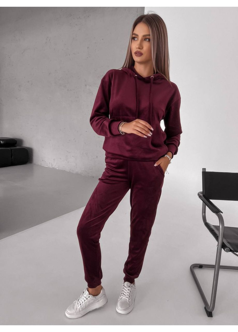 Велюровий базовий костюм No Brand (371923706)