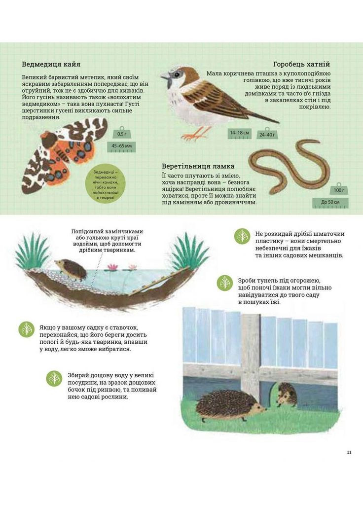 Как помочь ежику и защитить полярного медведя Видавництво "Каламар" (370624499)