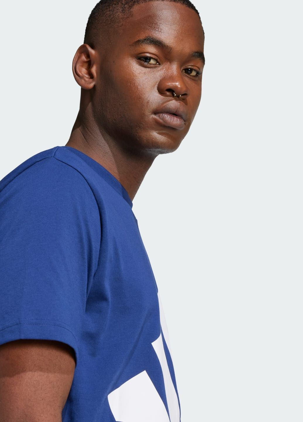 Синяя футболка essentials big logo adidas