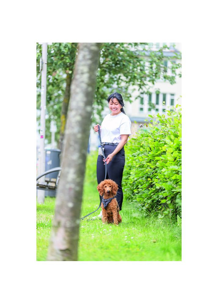 Шлея CityStyle H-harness для собак бавовна M–L 52–75 см 20 мм чорна Trixie (372504589)