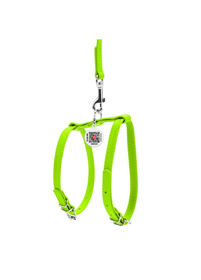 Шлея з повідцем для собак шкіряна WAUDOG Glamour з QR паспортом, Ш 12 мм, А 25-33 см, В 35-43 см салатовий No Brand (363201416)