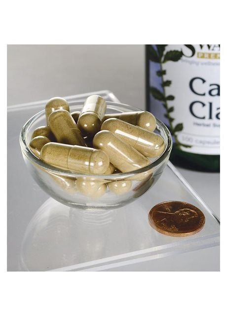 Кошачий коготь, cat's Claw,, 500 мг, 100 капсул Swanson (364312242)