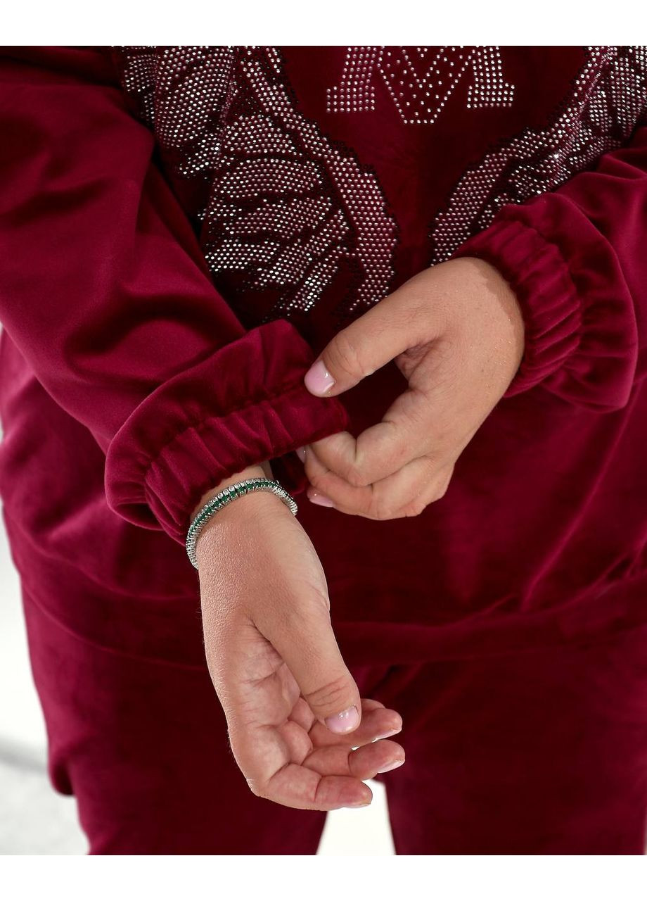 Жіночий велюровий спортивний костюм Asi.Store.ua (360861238)