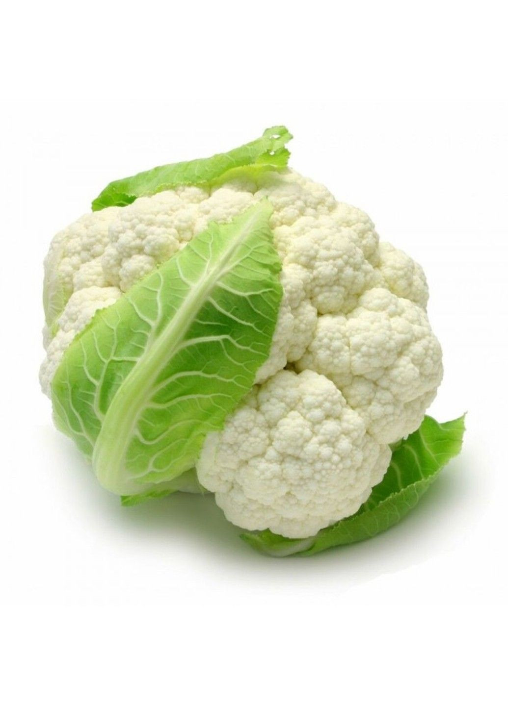 Семена капусты цветная Фарго F1 Bejo Zaden (333036022)