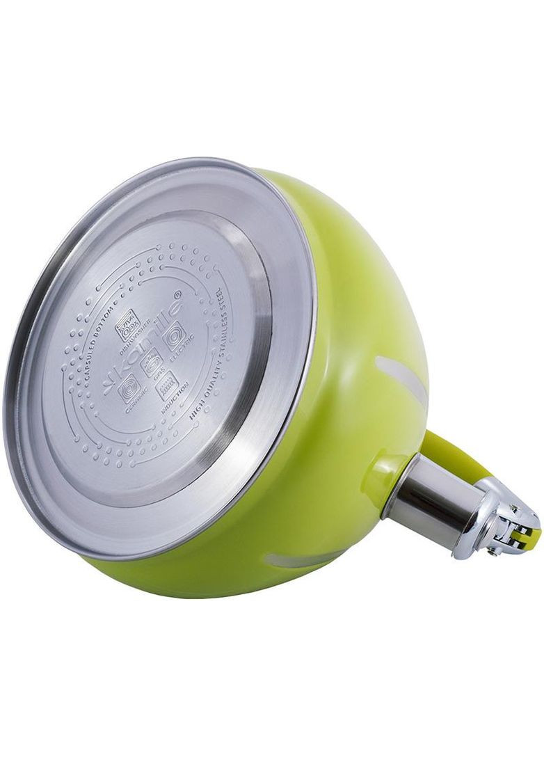 Чайник из нержавеющей стали 3л зеленый со свистком для чая и кипятка чайник со свистком Kamille (368980682)