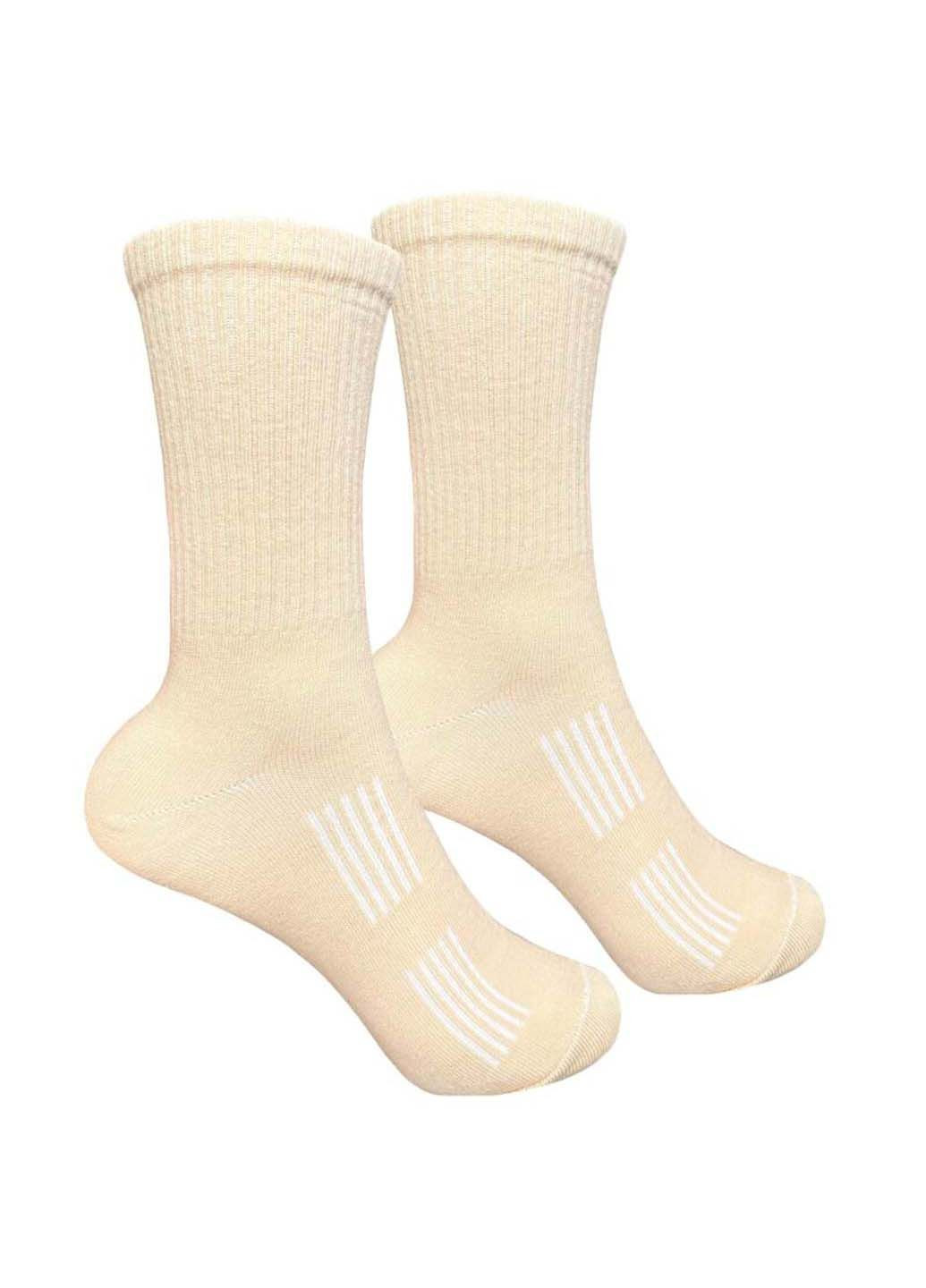 Бежеві чоловічі шкарпетки 1and1 (348467247)