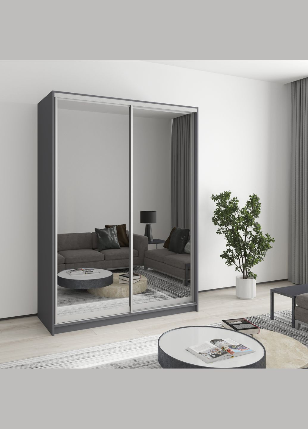 Шкаф-купе двухдверный Комбо AL 2 Зеркала 150x60x210 см (MBS-2798) MebelStar (346289013)