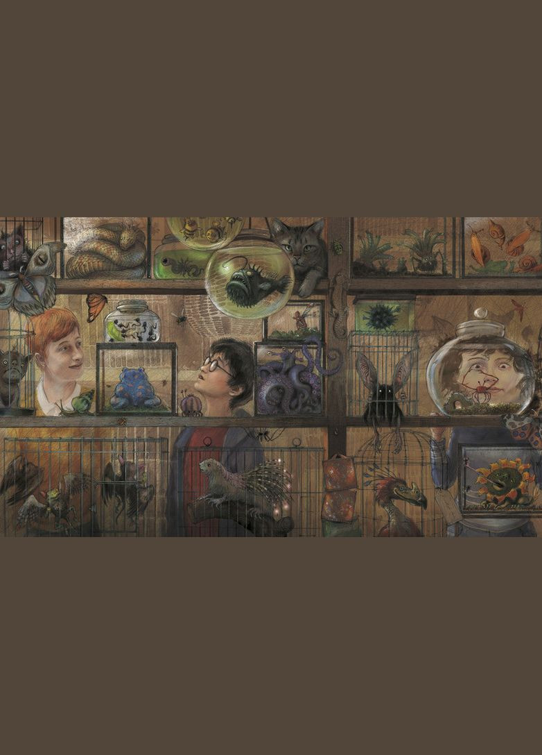 Книга Гаррі Поттер і в’язень Азкабану. Велике ілюстроване видання. Автор - Д. Ролінґ ( ) А-БА-БА-ГА-ЛА-МА-ГА (338874503)