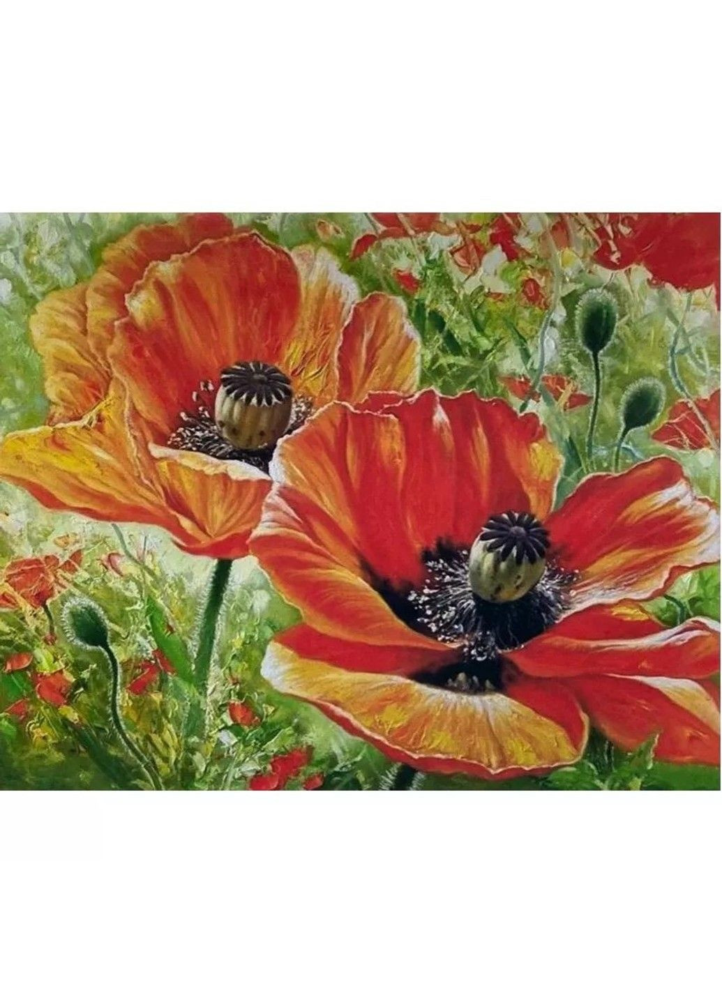 Алмазная вышивка " Маки " полная выкладка мозаика 5d наборы 30х40 см No Brand (332208153)