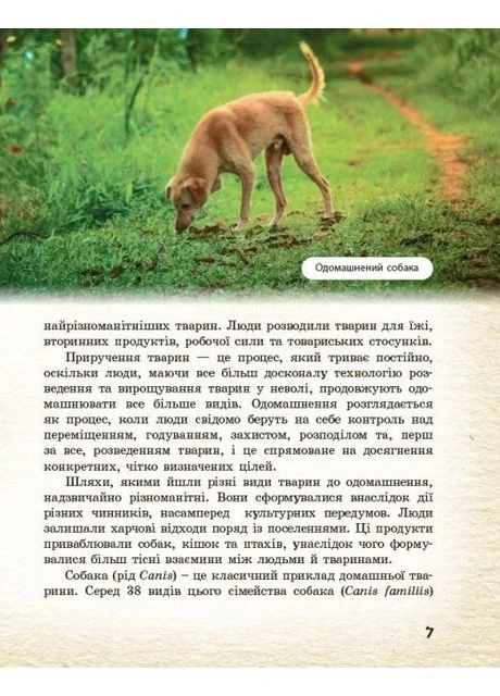 Животные вокруг нас РАНОК (370064842)