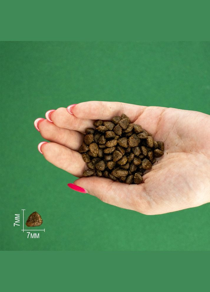 Сухий корм Chicken Mini Puppy для цуценят дрібних порід з куркою 2 кг (8436538946770) Bravery (316226691)