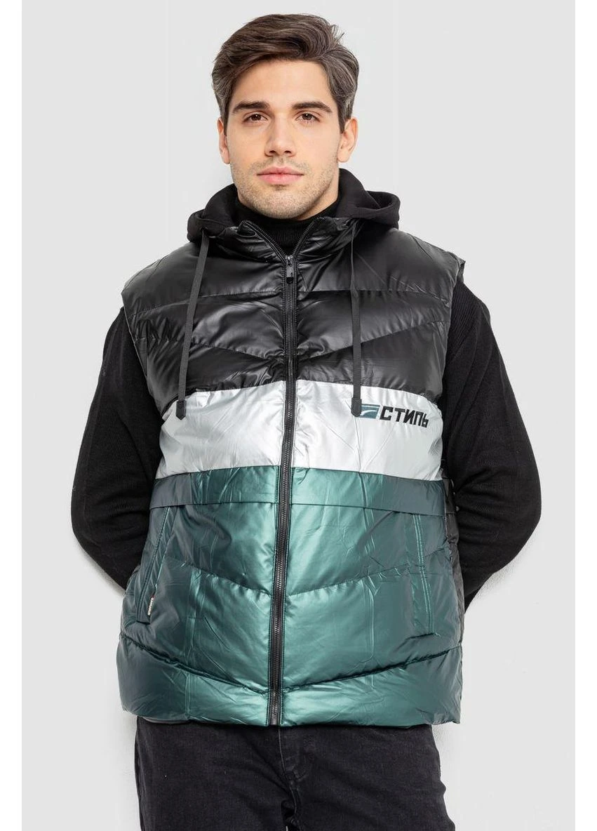 Жилетка мужская демисезонная, цвет черный, 244R990013 No Brand (365621290)