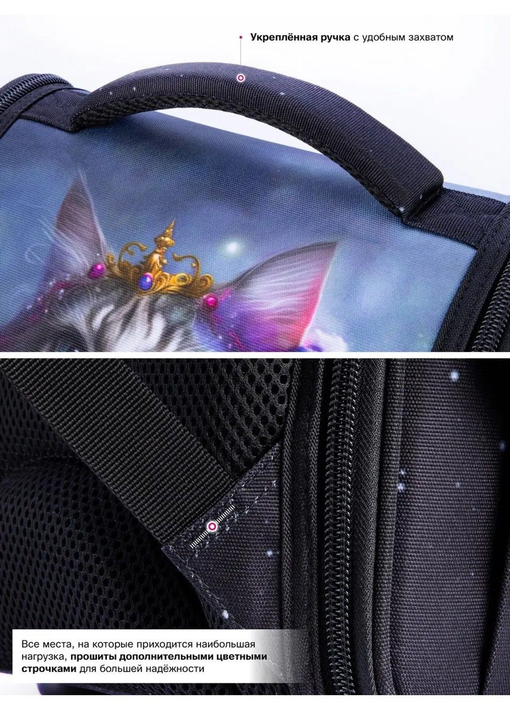 Ранец школьный для девочек SkyName 2098 Winner (331532366)