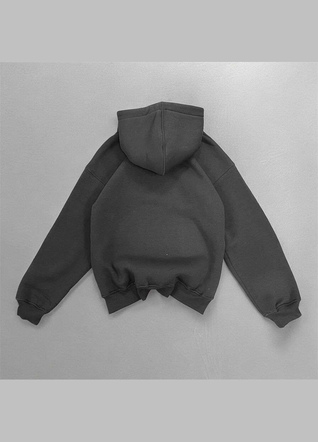 Стильне чоловіче демісезонне худі сіре No Brand (316134721)