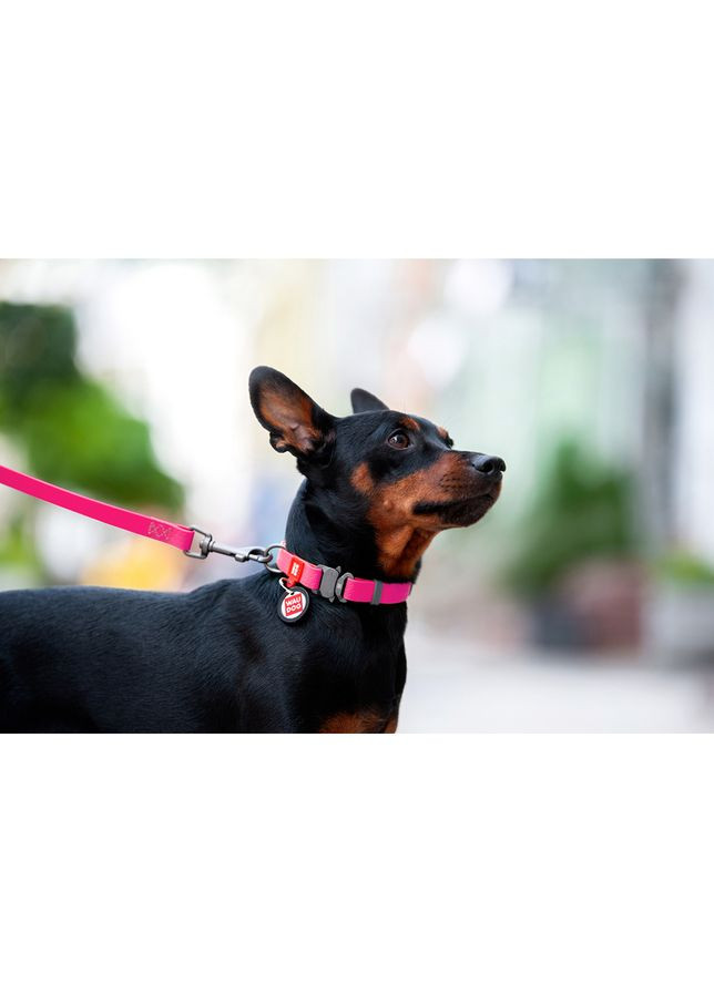 Ошейник для собак водостойкий Waterproof c QR паспортом, металлическая пряжка-фастекс, Ш 25 мм, Длин 34-49 см, розовый WAUDOG (322001934)