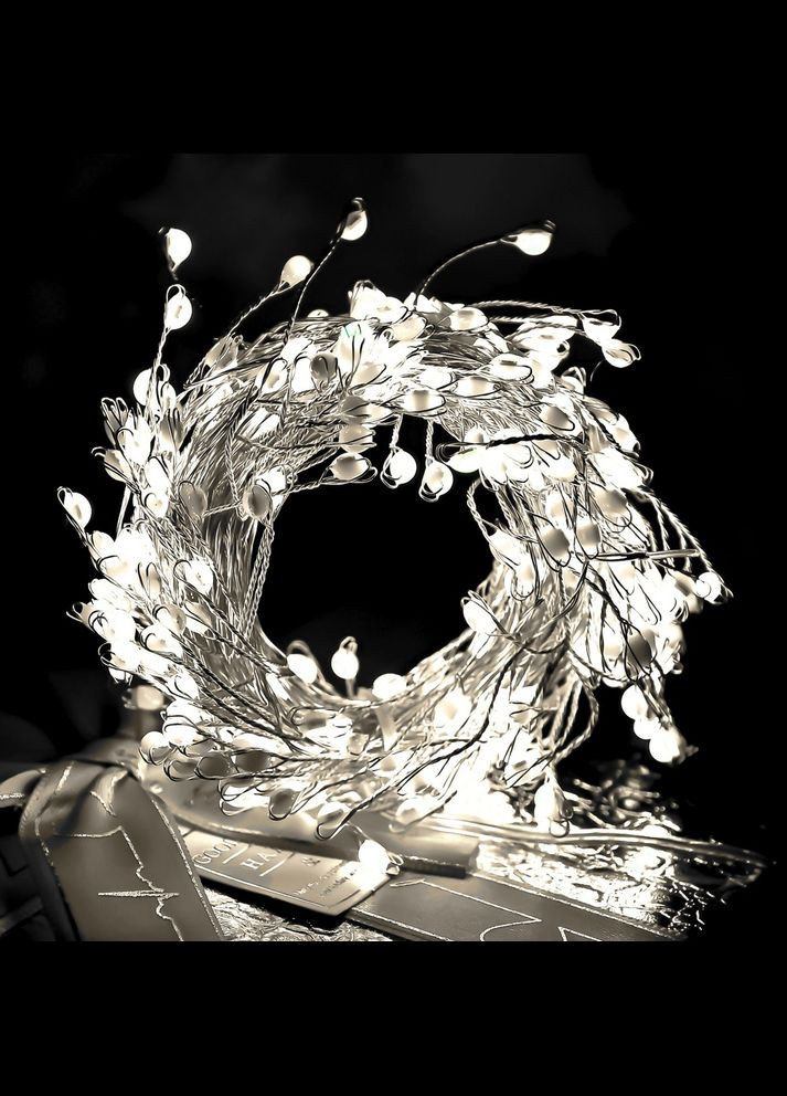 Гірлянда-led "Роса-White" 10м 300LED Home (340908163)