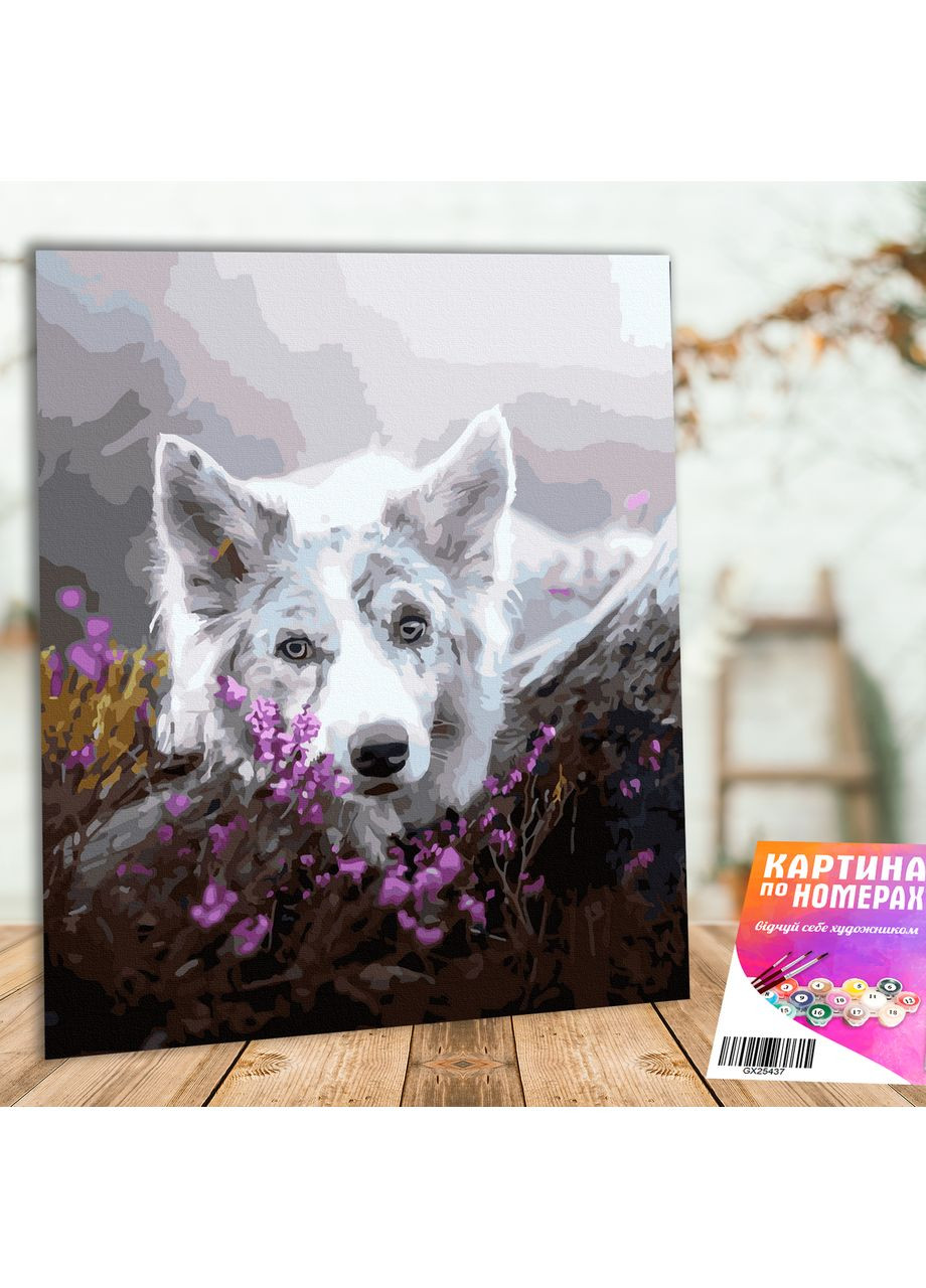 Картина по номерам "Белая собачка на скалистом камне" GX43108 No Brand (365039447)