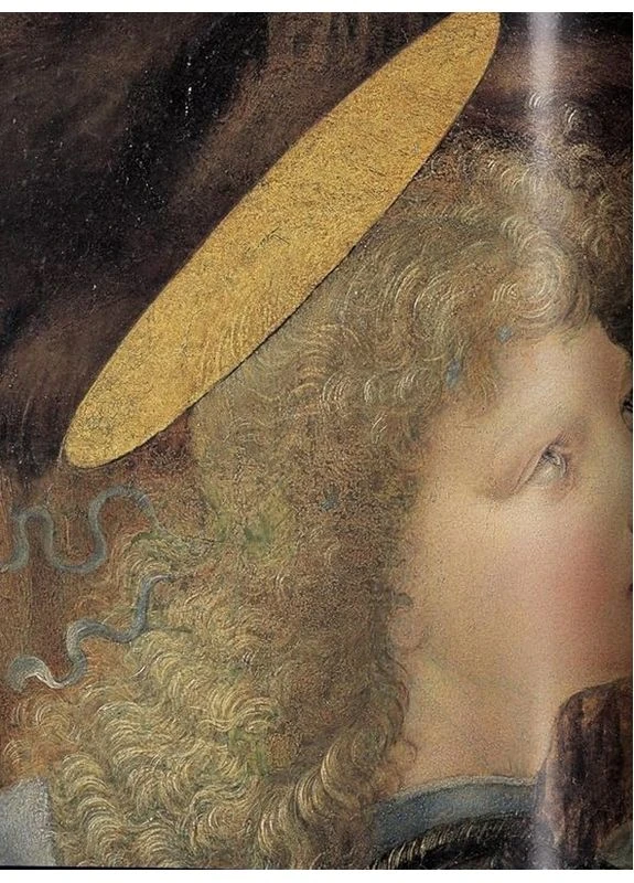 Книга Leonardo. The Complete Paintings and Drawings (9783836576253) Taschen (372004988)