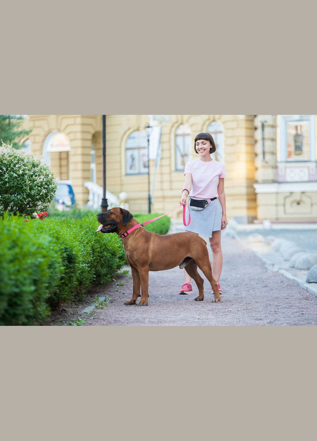 Поводок для собак водостойкий Waterproof, L-XXL, Ш 25 мм, Дл 122 см розовый WAUDOG (322125288)