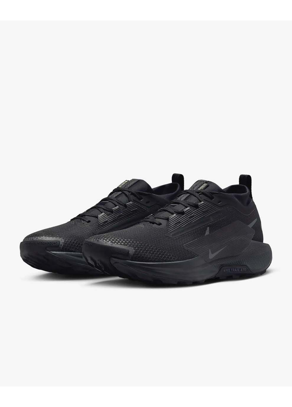 Жіночі Кросівки PEGASUS TRAIL 5 GTX Чорний Nike чорні демісезони (367188622)