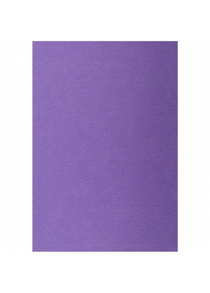 Набор фетра жесткого 741830 21х30 см 10 листов аметистовый Santi (335583976)