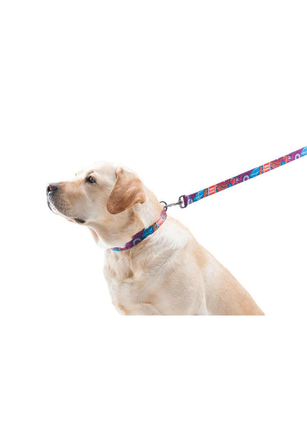 Поводок для собак нейлоновый Nylon, рисунок "Лето", Ш 20 мм, Дл 122 см WAUDOG (364750549)