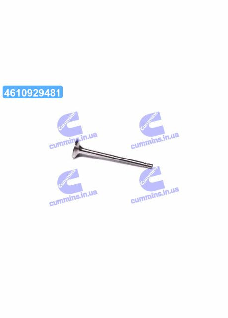 Клапан выпускной EX VAG BCA/BLP/ARC/BLF/BKG/BBY/AJV/BLG/ATN/CAVA/CAXA/CAXC 26X6X100.6 (пр-во KS) 39523 Kolbenschmidt (366120718)