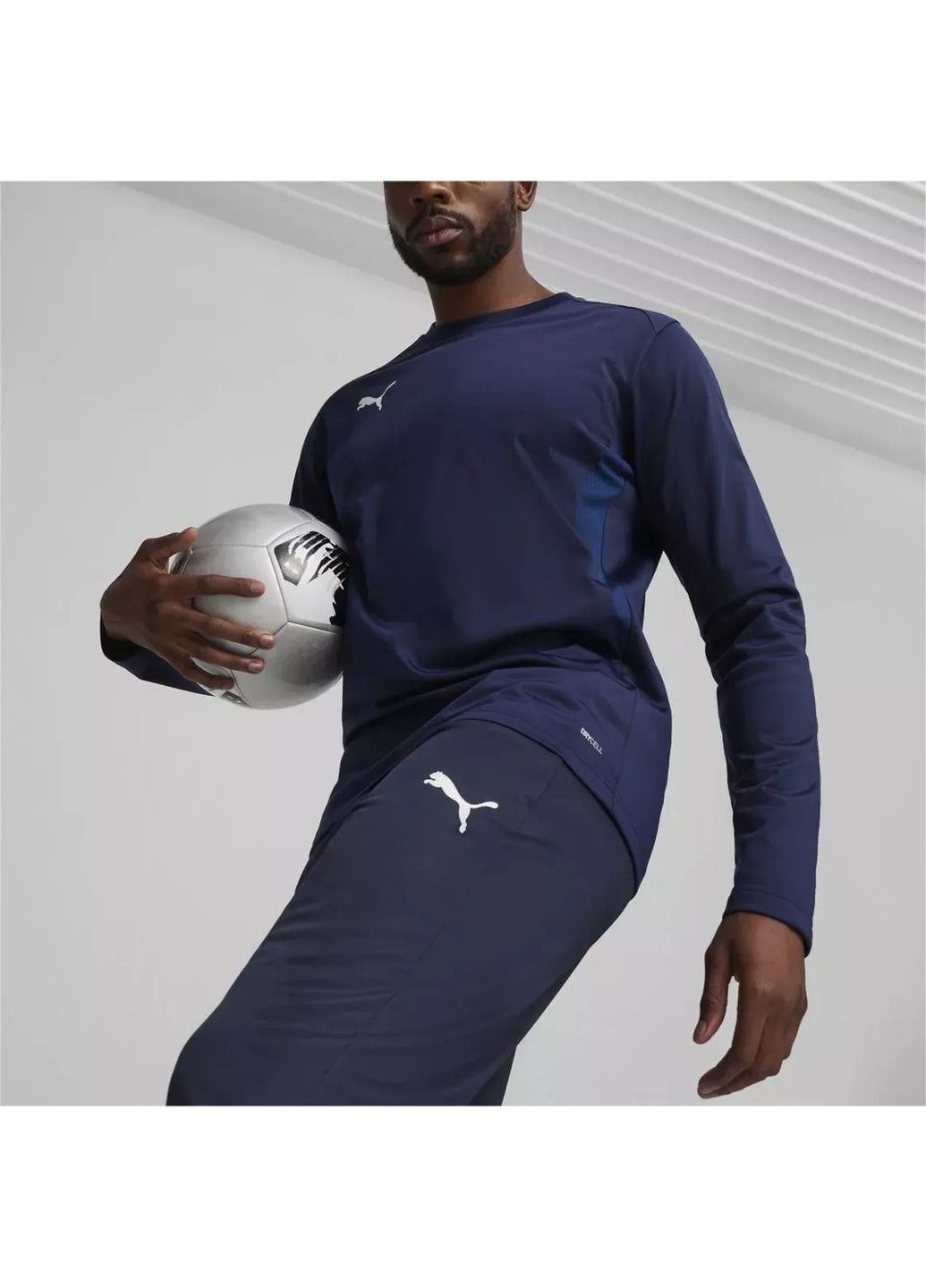 Штани чоловічі Teamgoal Training Blue 658639-06 Puma (365962568)