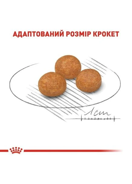 Сухой корм для собак малых и карликовых пород X-Small Adult 500 гр Royal Canin (333822752)