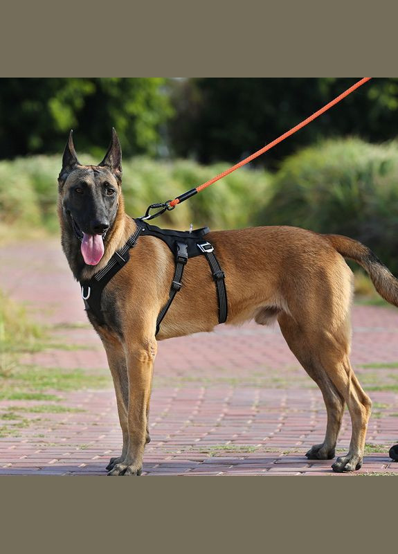 Шлея для собак TLH7011 со светоотражающими элементами, водонепроницаемая, Черный XL Truelove (308862985)