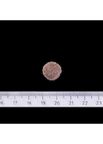 Сухий корм Dog Grain-free Adult для собак малих і середніх порід, беззерновий з лососем, 12 кг (*) Brit Care (323219502)