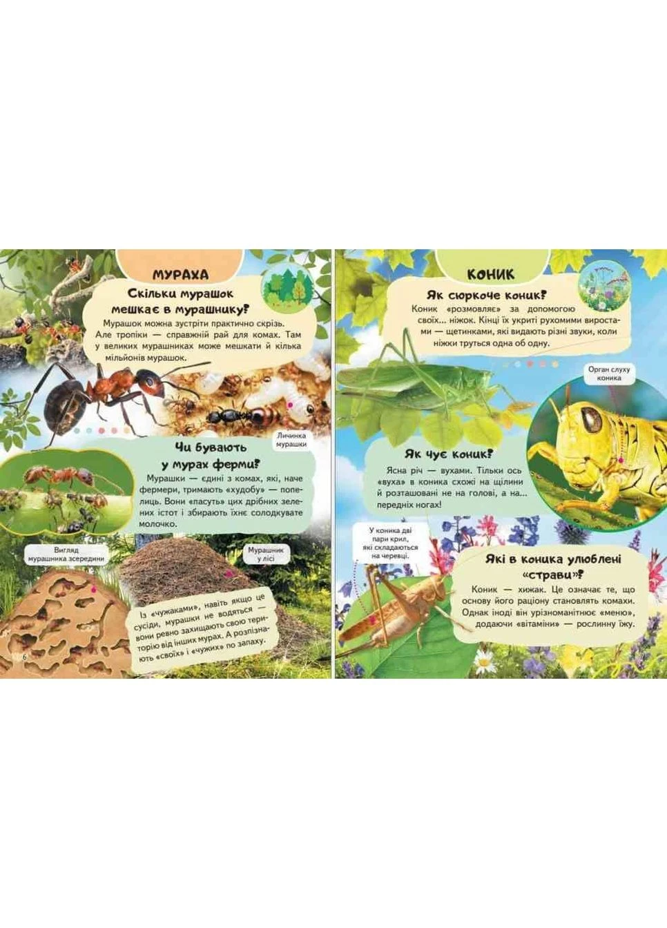 Книга Енциклопедія Комахи та інші Пегас (384313495)