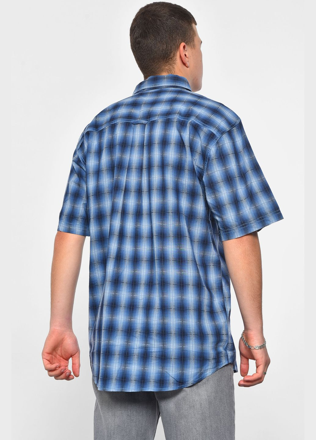 Сорочка чоловіча батальна синього кольору в клітинку Let's Shop (293765067)
