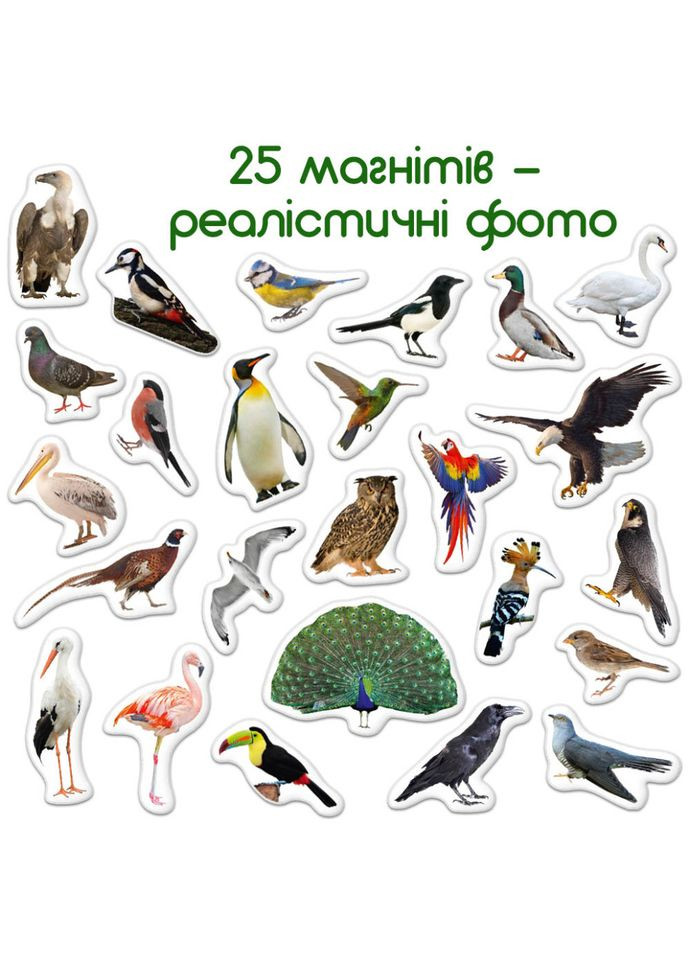 Дитячий набір магнітів Птахи фото ML4031-30 EN MAGDUM (334162463)
