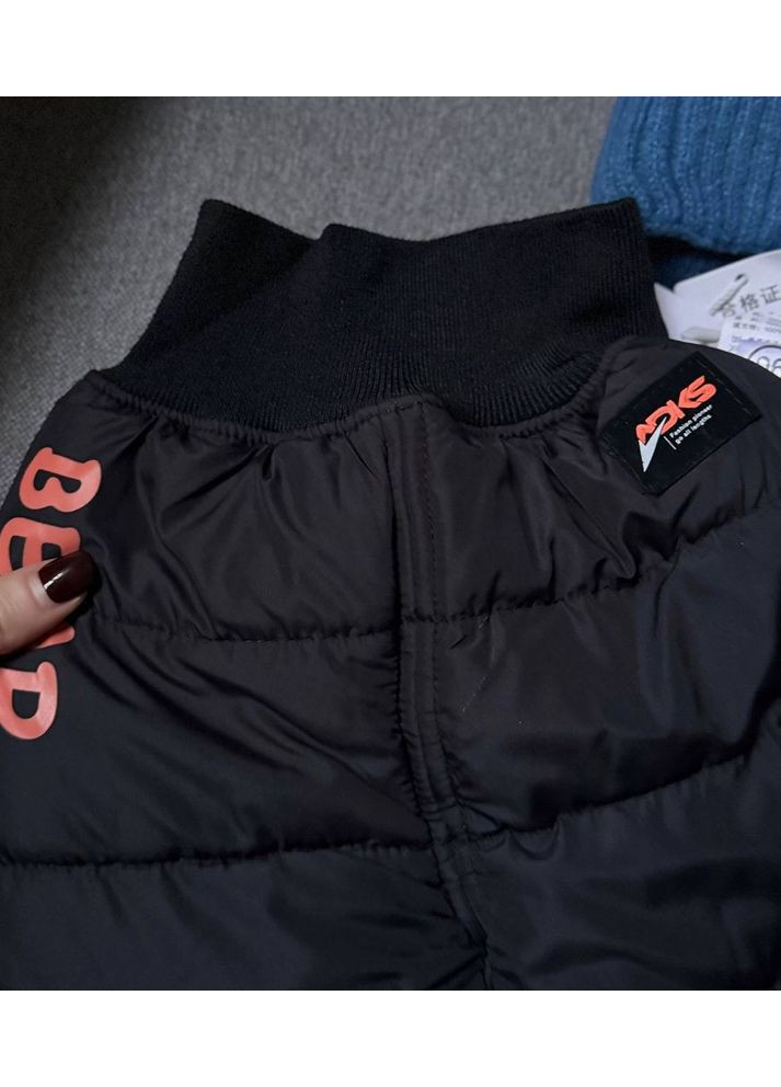 Утеплені штани Bear чорні 10179 No Brand (308790706)