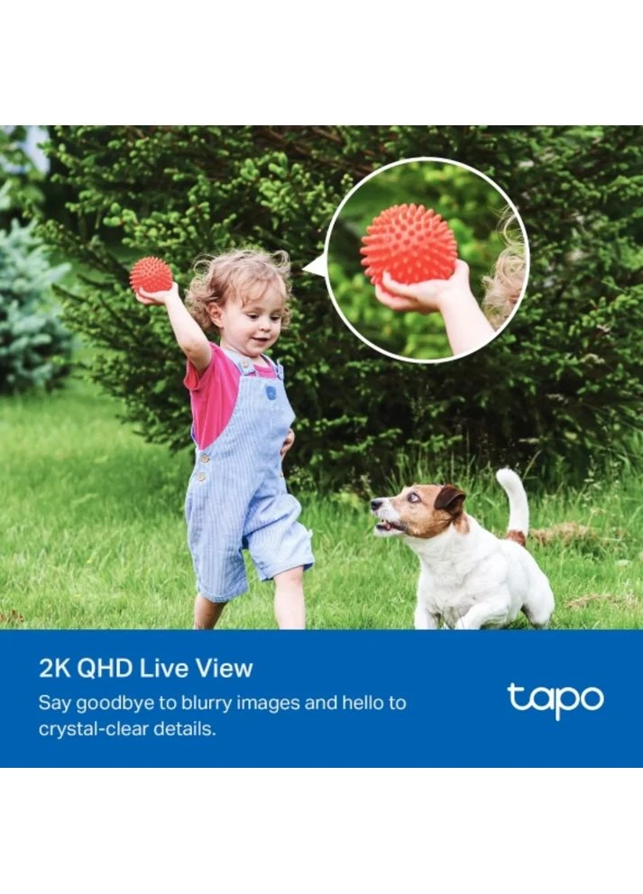 Камера видеонаблюдения Tapo C425 KIT TP-Link (362279878)