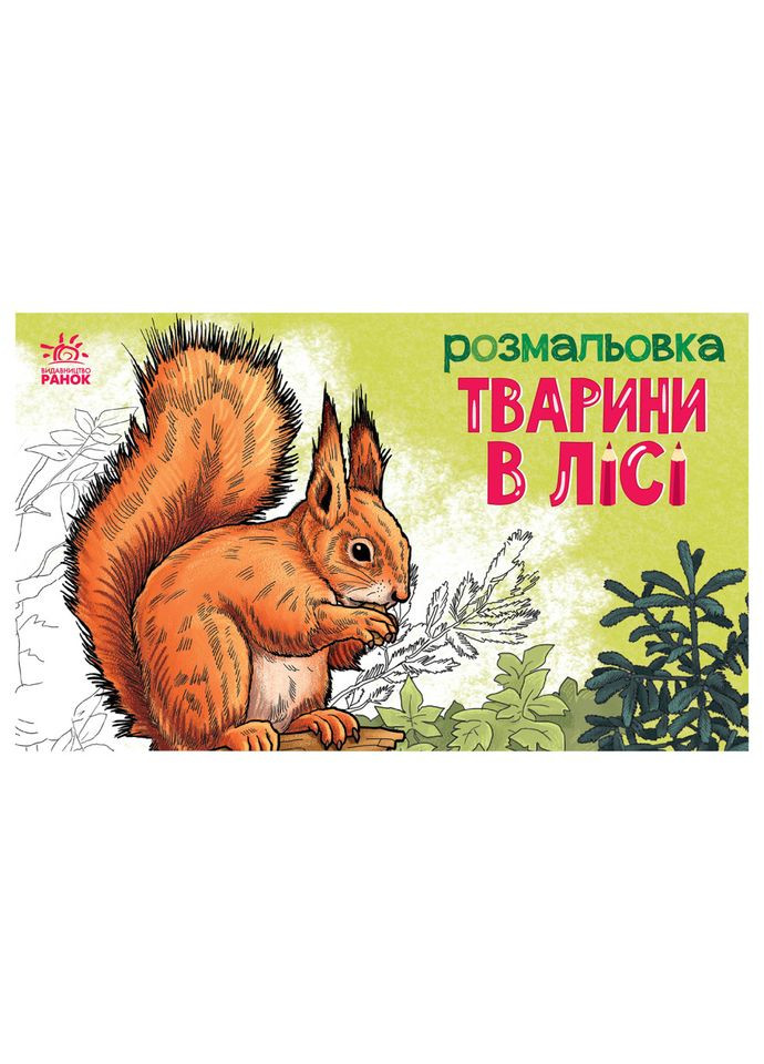 Дитяча розмальовка "Тварини у лісі" 583012, 16 сторінок Ranok Creative (305077635)