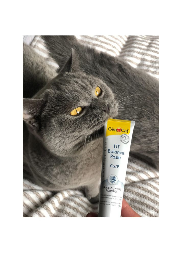 Витаминная паста Expert Line UT Balance для кошек, 50 г GimCat (355253462)