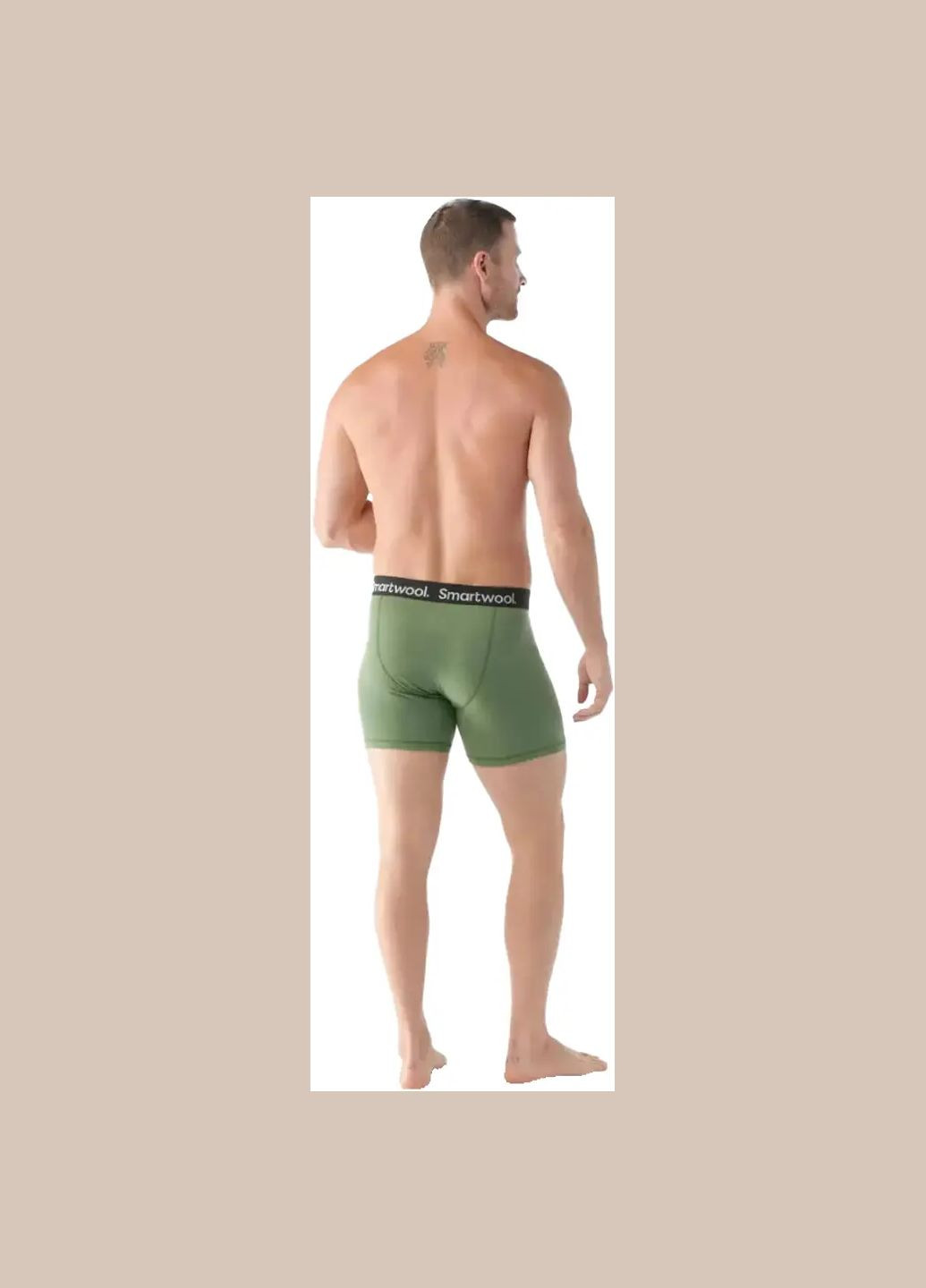 Трусы en’s erino Boxer Brief Boxed Fern green Smartwool (317657838)