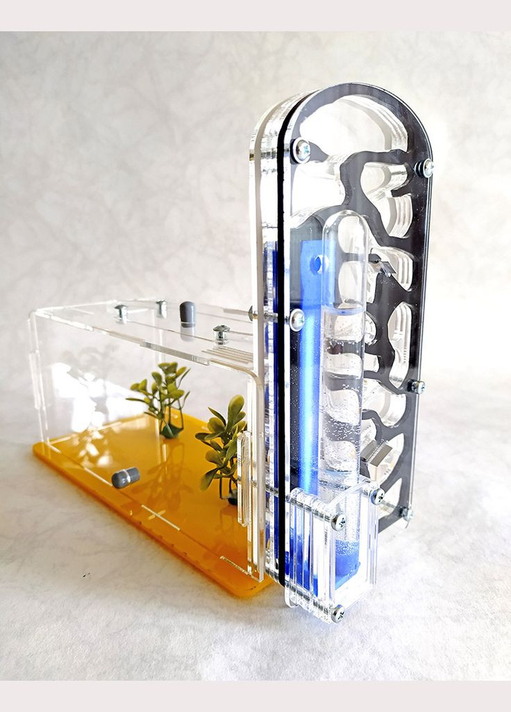 Муравьиная ферма (формикарий) вертикальная (черная) + муравьи-жнецы. Полный комплект No Brand AntTown (314798849)