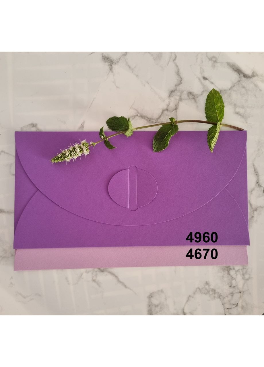 Подарунковий конверт 110х220 мм з кольорового дизайнерського картону Лавандовий No Brand (365726388)
